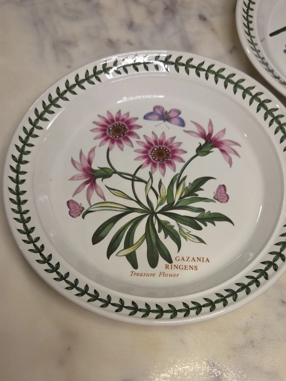Vintage Portmeirion The Botanic Garden Floral Salad Plates 1972 | Britian Set 4